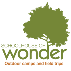 Raleigh summer camps